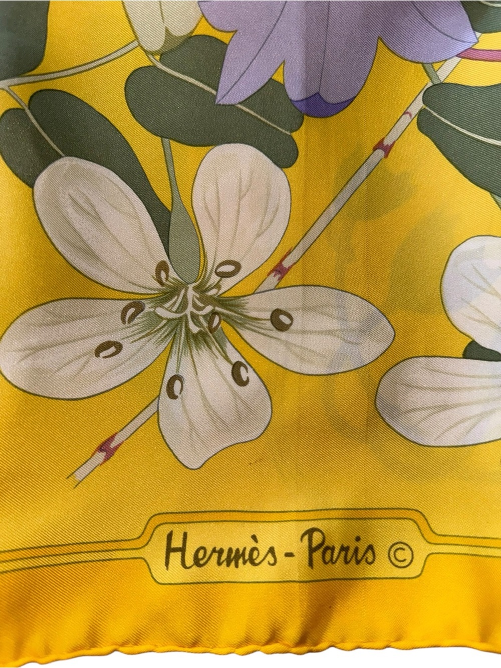 Hermès "Flora Graeca" rare vintage silk scarf - Picture 9 of 12